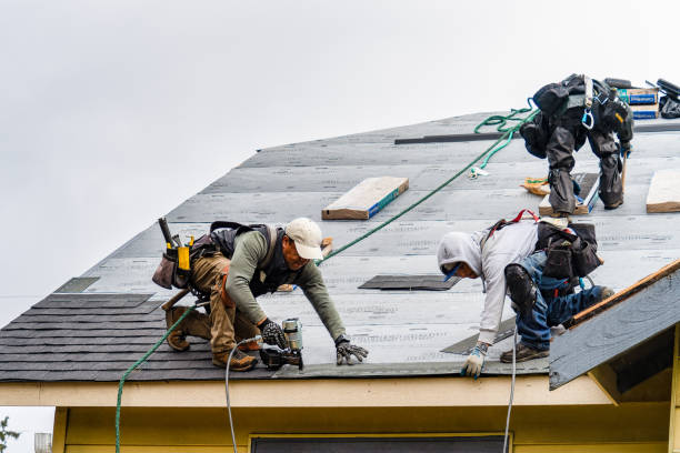 Professional Gutter Installation technician working in Sherman, TX